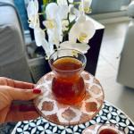 Garden Elegance Istikana's